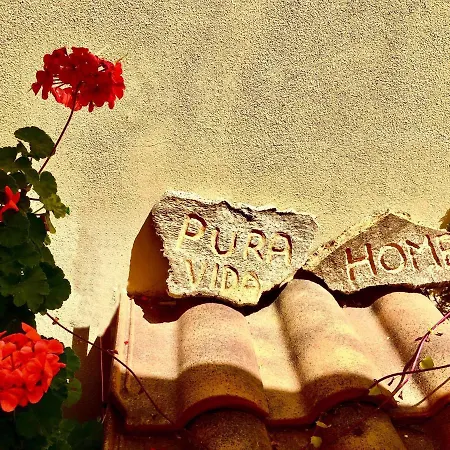 Pura Vida Apartment